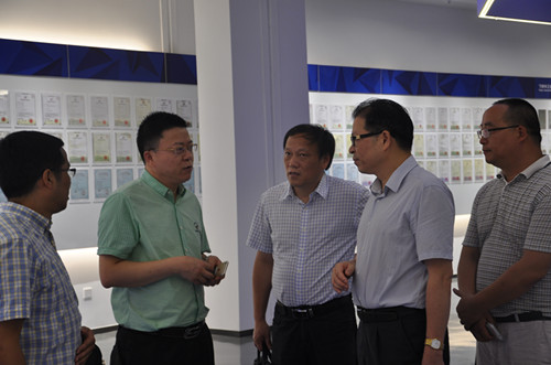 宁波市科协主席陈文辉来司调研